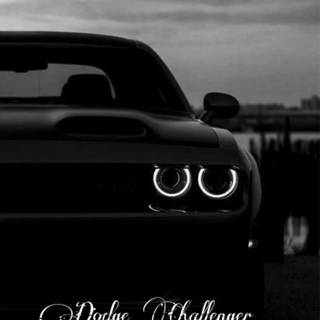 Hellcat black wallpaper
