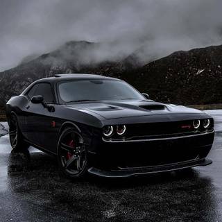 Hellcat black wallpaper