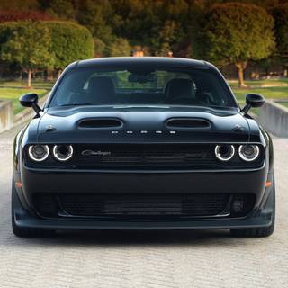 Hellcat black wallpaper
