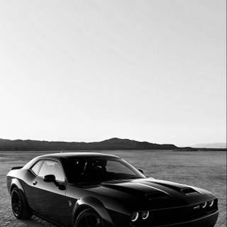 Hellcat black wallpaper