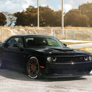 Hellcat black wallpaper
