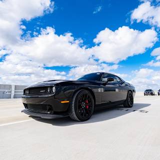 Hellcat black wallpaper