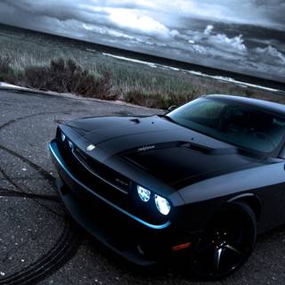 Hellcat black wallpaper