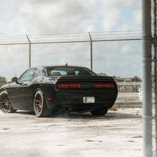 Hellcat black wallpaper