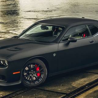 Hellcat black wallpaper