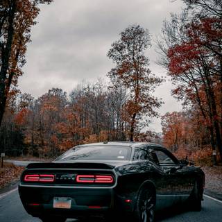Hellcat black wallpaper