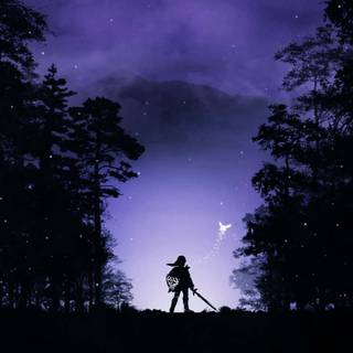 Zelda aesthetic wallpaper