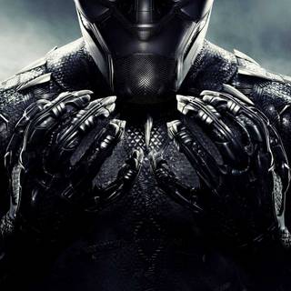 Black Panther phone HD 4k wallpaper