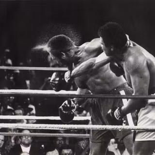 Boxing match wallpaper