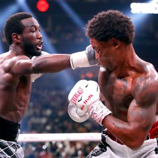 Boxing match wallpaper