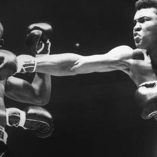 Boxing match wallpaper