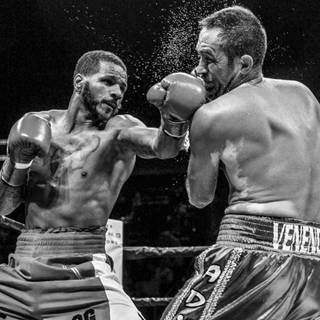 Boxing match wallpaper