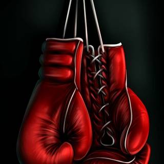 Boxing match wallpaper