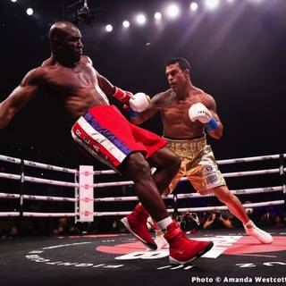 Boxing match wallpaper