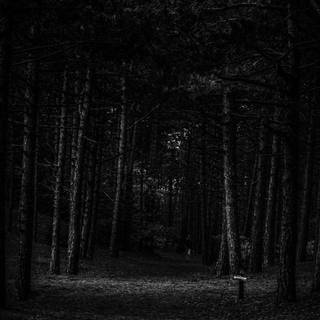 Scary 4k iPhone wallpaper