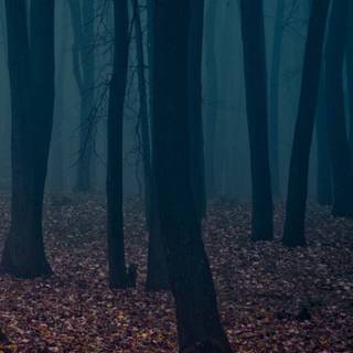 Scary 4k iPhone wallpaper