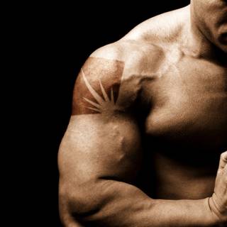 Bodybuilding laptop wallpaper