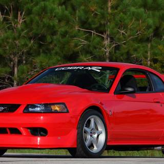 Ford SVT Mustang Cobra R wallpaper