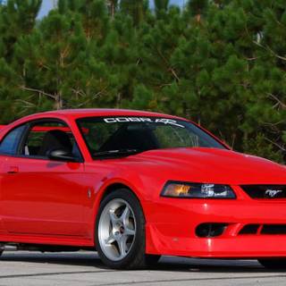Ford SVT Mustang Cobra R wallpaper