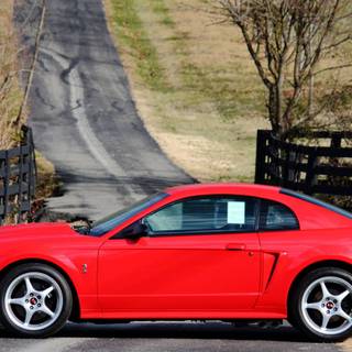 Ford SVT Mustang Cobra R wallpaper