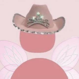 Cowgirl aesthetic PFP wallpaper