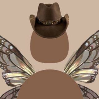 Cowgirl aesthetic PFP wallpaper