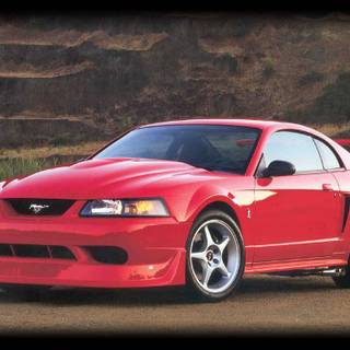 Ford SVT Mustang Cobra R wallpaper