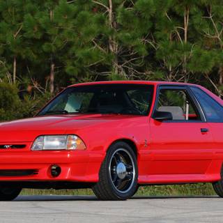 Ford SVT Mustang Cobra R wallpaper