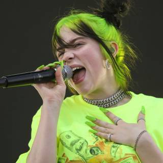 Billie Eilish and Taylor Swift wallpaper