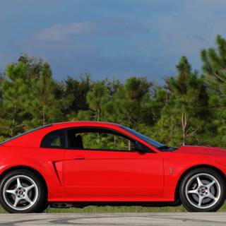 Ford SVT Mustang Cobra R wallpaper