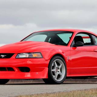 Ford SVT Mustang Cobra R wallpaper