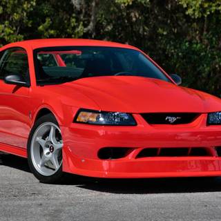 Ford SVT Mustang Cobra R wallpaper