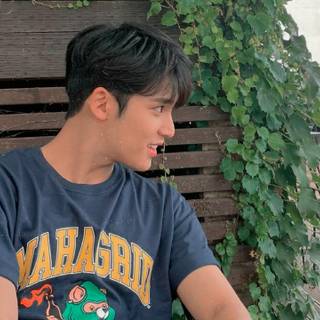 Mingyu desktop wallpaper