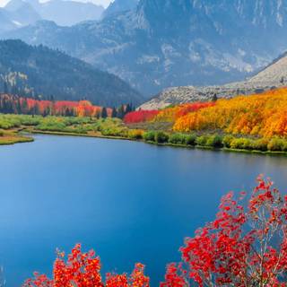 Mountain view autumn wallpaper