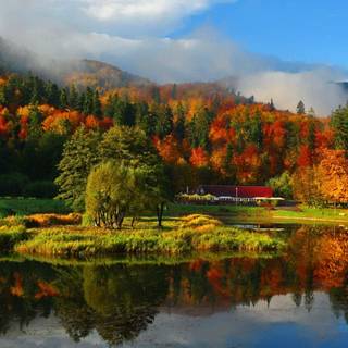 Mountain view autumn wallpaper