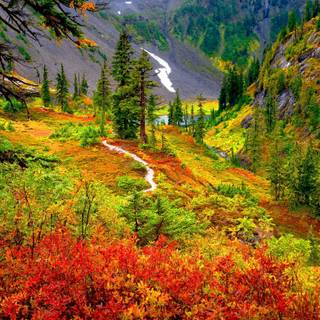 Mountain view autumn wallpaper