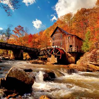 Random autumn wallpaper