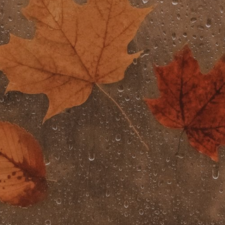 Random autumn wallpaper