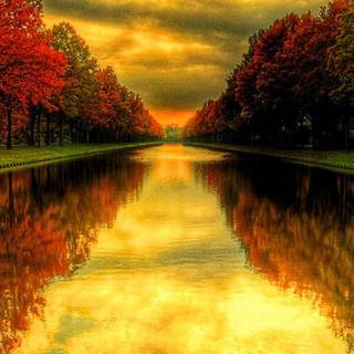 iPhone autumn sunset wallpaper