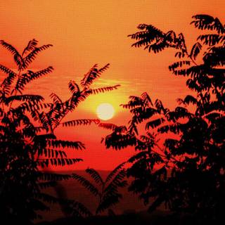 iPhone autumn sunset wallpaper