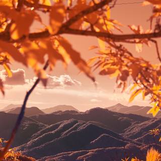 Mountain view autumn wallpaper