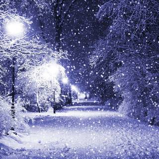 Snow winter season wallpaper