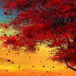 iPhone autumn sunset wallpaper