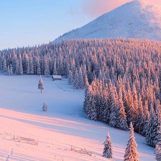 3840x1080 winter scene wallpaper