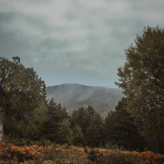 Mountain view autumn wallpaper