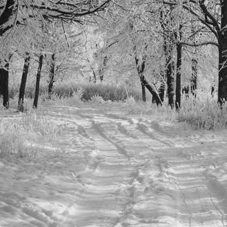 3840x1080 winter scene wallpaper