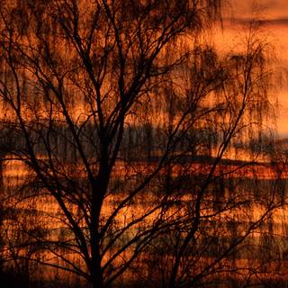 iPhone autumn sunset wallpaper