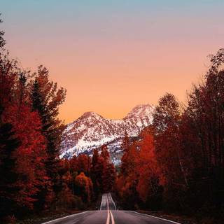 iPhone autumn sunset wallpaper