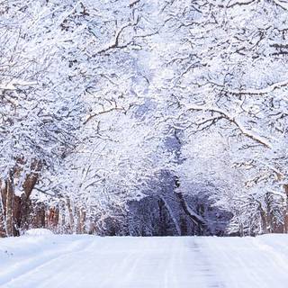 3840x1080 winter scene wallpaper