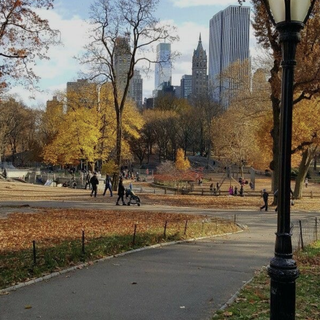 Random autumn wallpaper